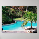 Search for swimming pools posters Tropical
