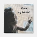 Search for bearded dragon magnets Beardie
