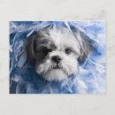 Search for loyalty horizontal postcards Animal