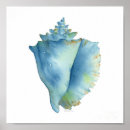 Recherche de coquilles posters Coquillages