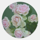 Search for beautiful garden stickers Flower