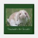 Recherche de la hollande magnets Animal