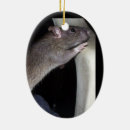 Search for rat ornaments Animals