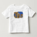 Search for ranges tshirts Colour