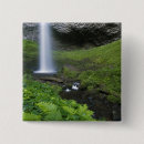 Search for cascade buttons Scenic