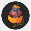 Search for sausage dog stickers Puppy