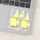 Search for cockatiels stickers Animals