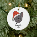 Recherche de french ornements De frenchie