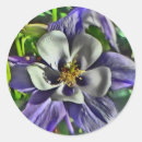 Search for columbine stickers Colorado