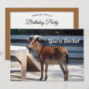 Search for profiling invitations Black