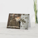 Search for red panda cards Photograph