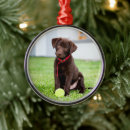 Search for chocolate labrador ornaments Animal