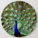 Search for peacocks buttons Pretty
