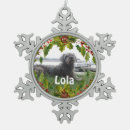 Search for snowflakes ornaments Pet