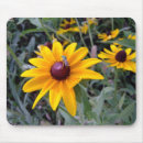 Search for eis mousepads Photography