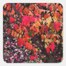 Search for shrubs stickers Floral
