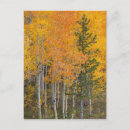 Search for provo postcards Autumn
