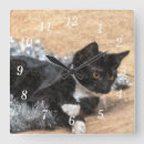 Search for tuxedo cat clocks Cute