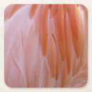 Recherche de flamingo tissue papier Plumes