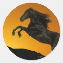 Recherche de photo de cheval autocollants Bob langrish