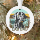Search for black lab ornaments Labrador retriever
