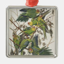 Search for audubon birds ornaments 1829