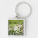 Search for full of love keychains Nature