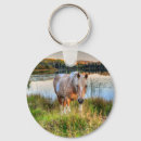 Search for pinto keychains Horse