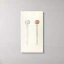 Search for spine canvas prints Illustration