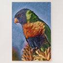 Search for australian birds puzzles Parrot