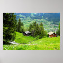 Search for alpine flower posters Alps