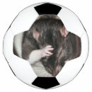 Recherche de humour m ballons foot Animal