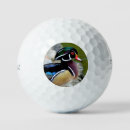 Search for duck golf balls Nature