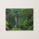 Recherche de rica puzzles Forêt tropicale