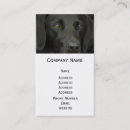 Recherche de labrador noir cartes visite Mignon
