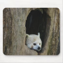 Recherche de panda rouge tapis souris Faune