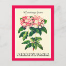 Search for graduation greeting postcards Pink
