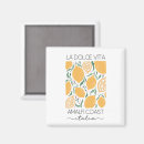 Search for vita magnets Italy