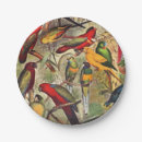 Recherche de exotique assiettes en papier Jungle