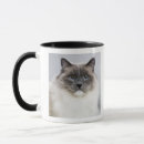 Search for portrait mugs Feline