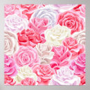 Recherche de rose et bourgeon de rose posters Botanique