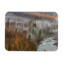 Search for larch Landscape