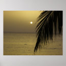 Search for jamaicans posters Negril