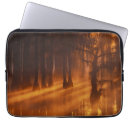 Search for cypress tree electronics Fog