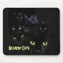 Search for scaredy cat Cats