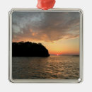 Recherche de mousse ornements Pour tous