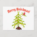 Search for mantis postcards Weird