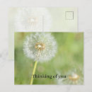 Search for think spring postcards Floral