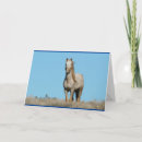 Recherche de cheval de guerre cartes postales Chef