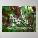 Recherche de proverbe chinois posters Nature